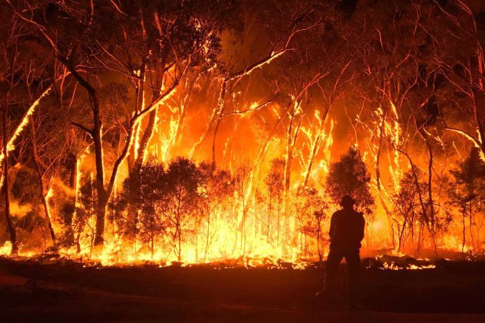 Australian bushfires