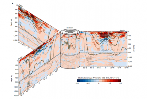 Increasing Ocean Stratification Over The Past Half-century | MICHAEL E ...