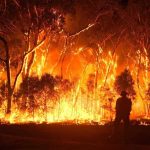 Australian bushfires